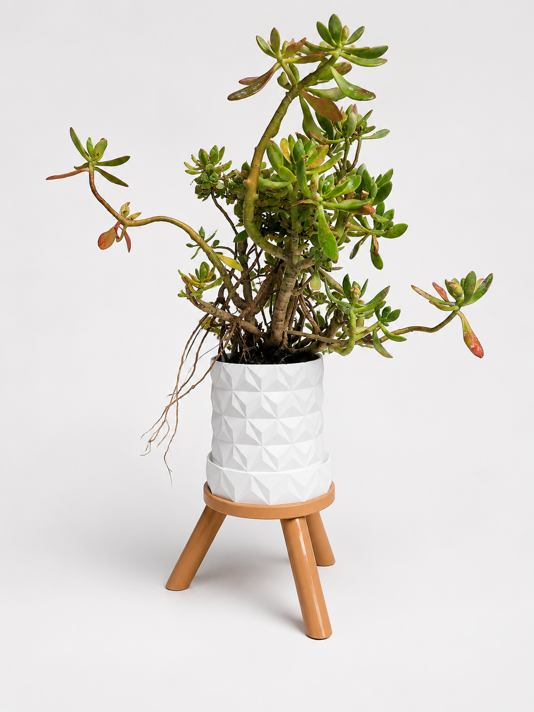 Emerald Layer design* Geometric Planter