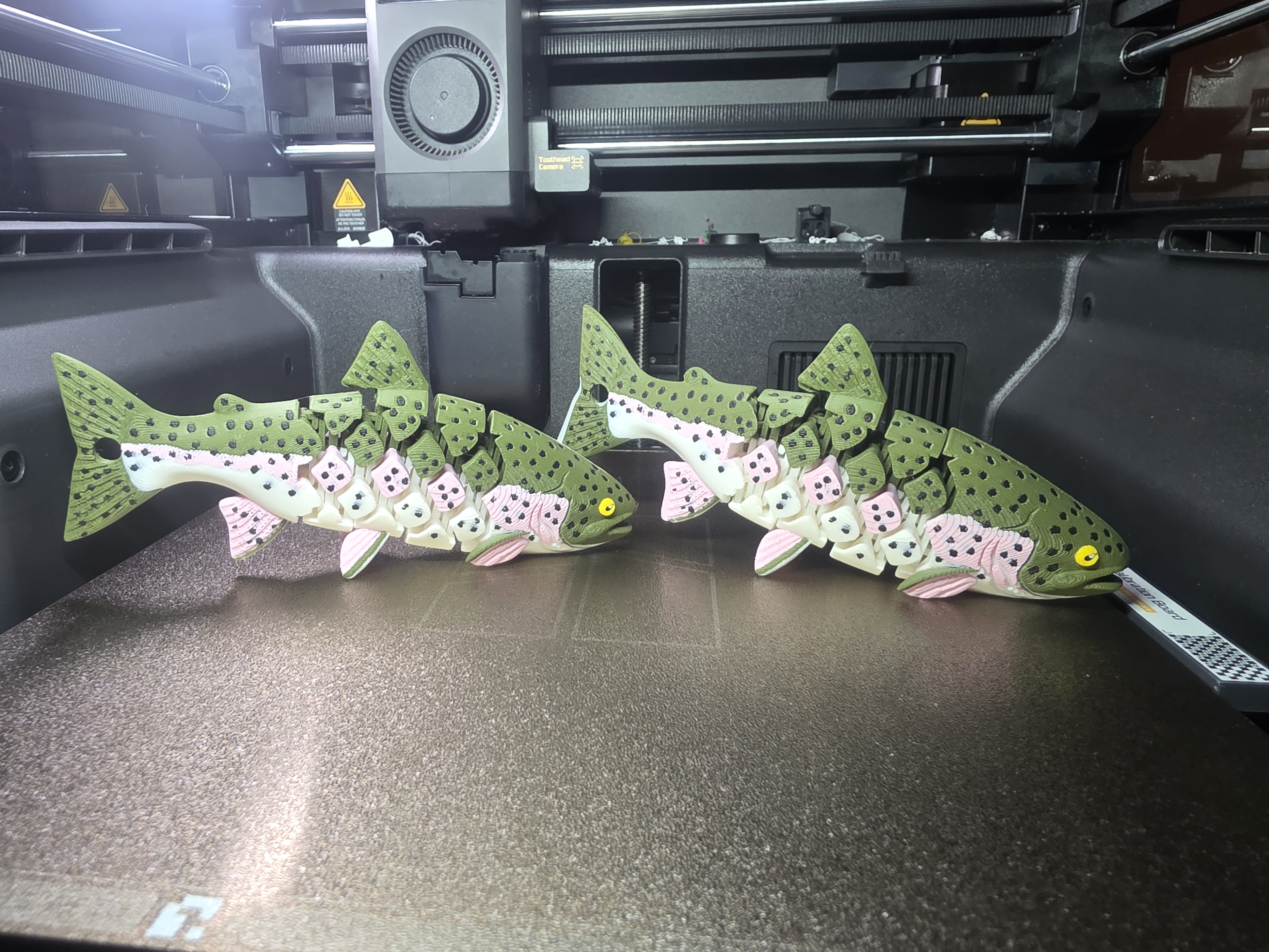 🐟 Articulated Rainbow Trout – 3D Printed Flexi Fish